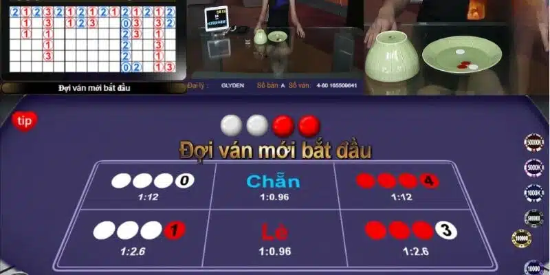 Hướng dẫn chi tiết cách đánh xóc đĩa trên điện thoại tại go88